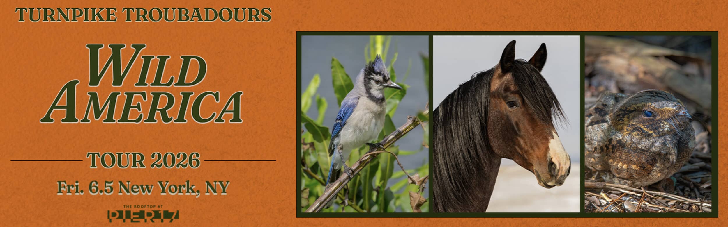 Turnpike Troubadours